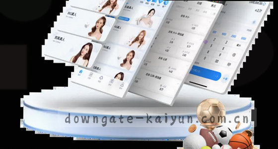 如何访问平台？有哪些入口？